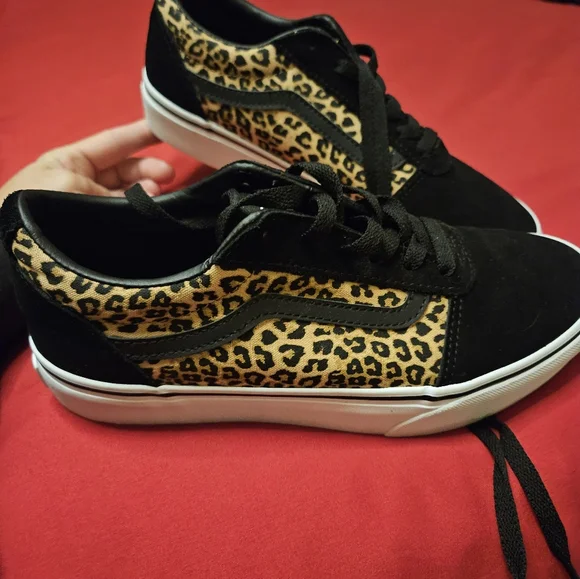 Cheetah vans - Picture 5 of 5